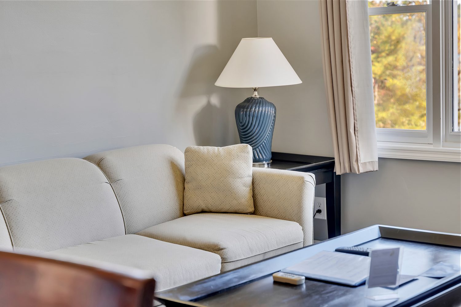 Living room love seat